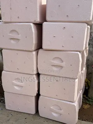 Stereo Foam Ice Ches