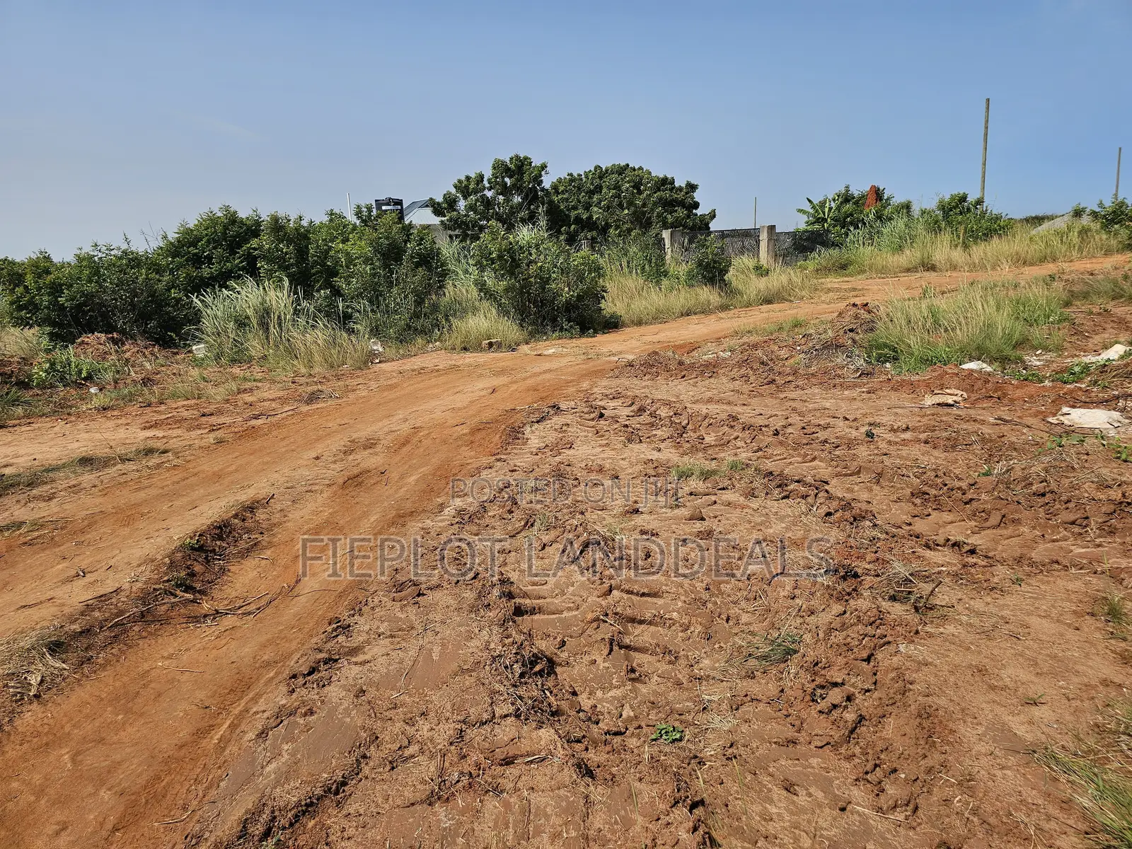 Your Opportunity to Own a Full Plot at City of David