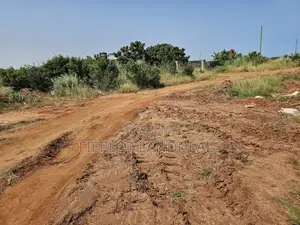 Your Opportunity to Own a Full Plot at City of David