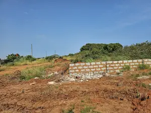 Your Opportunity to Own a Full Plot at City of David