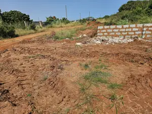 Your Opportunity to Own a Full Plot at City of David