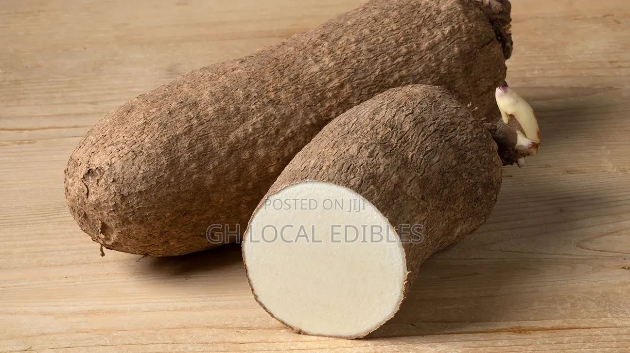 Tubers of Yam