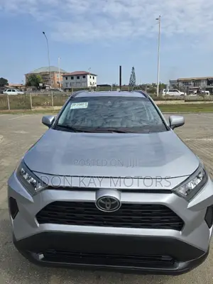 Toyota RAV4 XLE AWD 2020 Silver