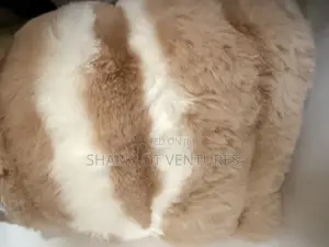 200x300 Light Yellow Fluffy Carpet