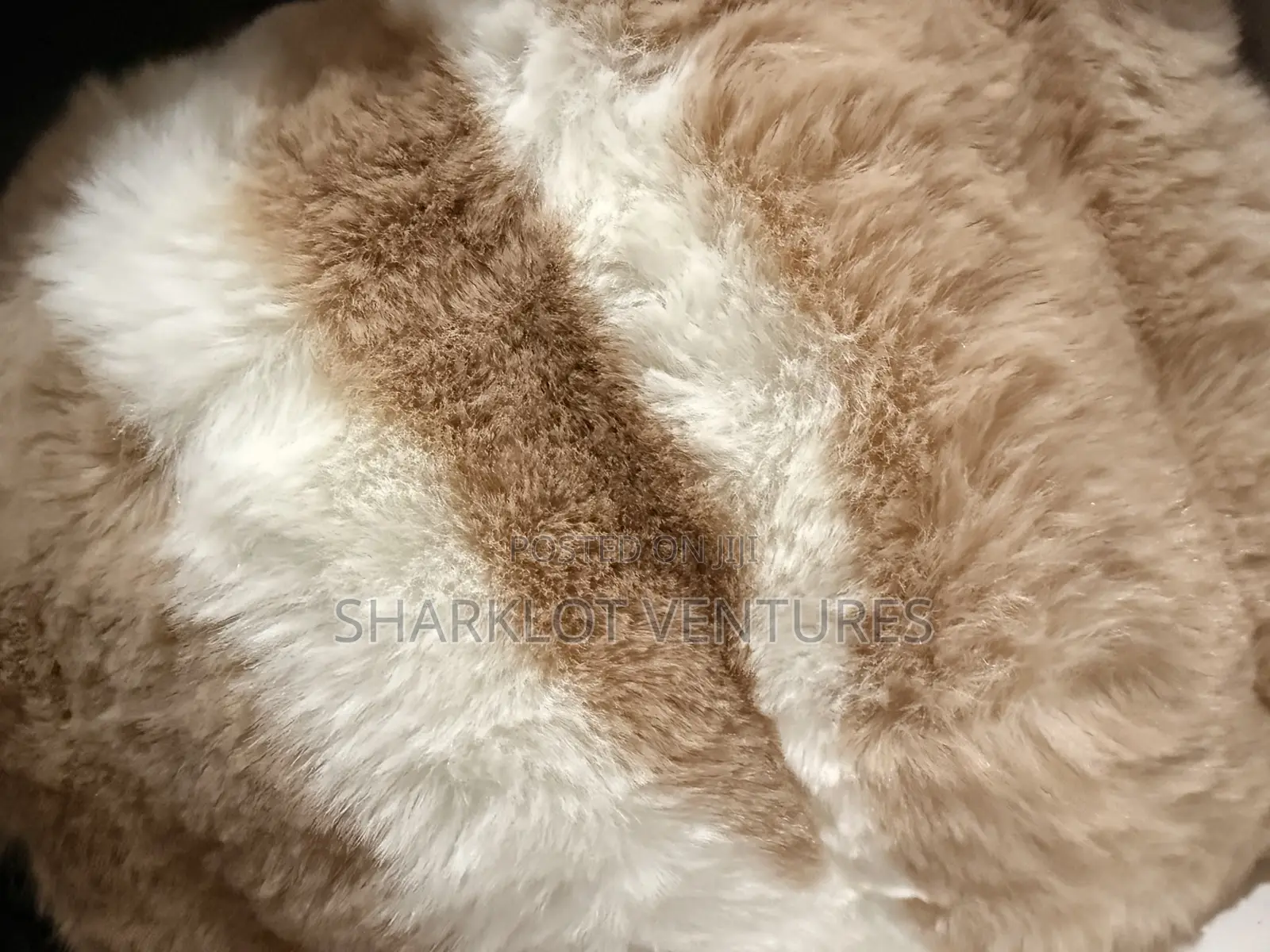 200x300 Light Yellow Fluffy Carpet