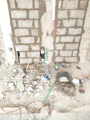 Pro Plumber