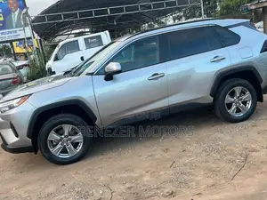 Toyota RAV4 2023 Gray