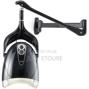 Wall- Mounted Hair Dryer