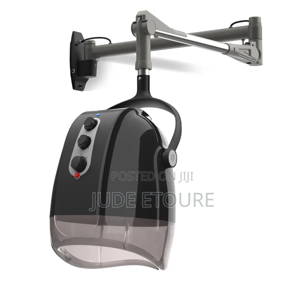 Wall- Mounted Hair Dryer