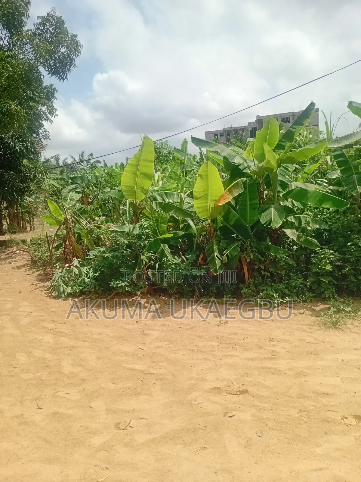 Half Plot of Land for Sale