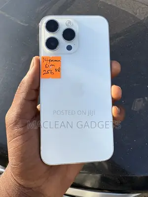 Apple iPhone 14 Pro Max 256 GB Silver