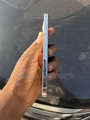 Apple iPhone 14 Pro Max 256 GB Silver