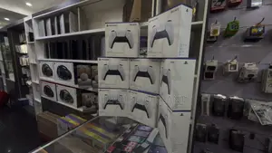 PS5 Controllers