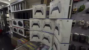 PS5 Controllers