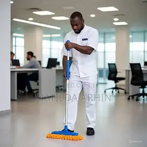 Male Cleaner
