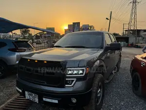 Ford F-150 FX2 2013 Gray