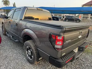 Ford F-150 FX2 2013 Gray