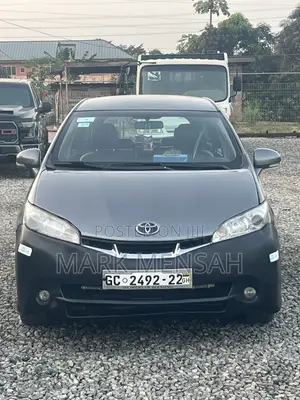 Toyota Wish 2010 Gray