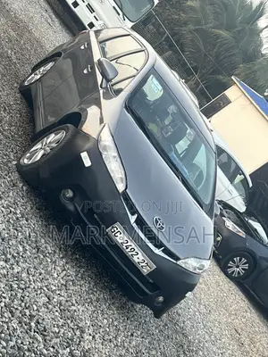 Toyota Wish 2010 Gray