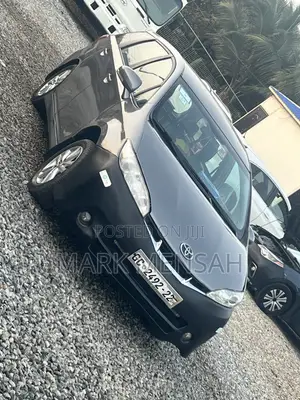 Toyota Wish 2010 Gray