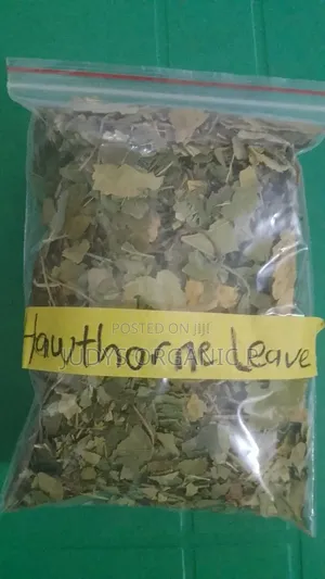 Hawthorne Leaf