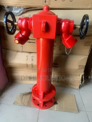 4” British Standard BS-750 2 Way(2.5”) Pillar Hydrant LPCB Approved
