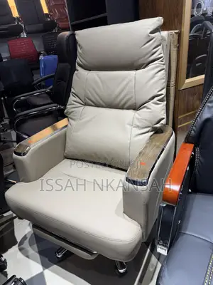 DIRECTOR Executive Chair