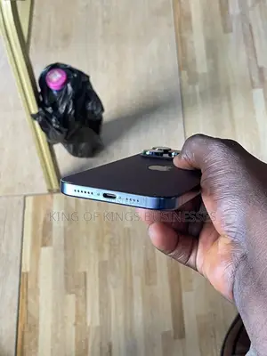 Apple iPhone 15 Pro Max 256 GB Blue