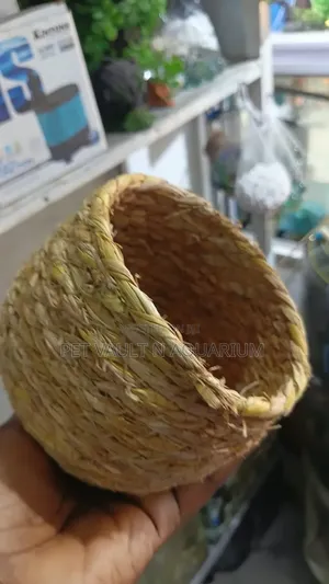 Bird Play Toys
