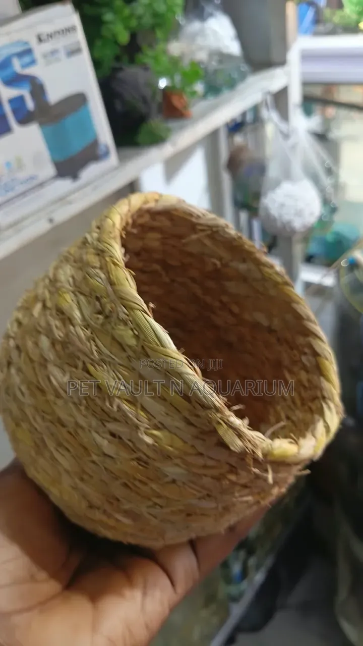 Bird Play Toys
