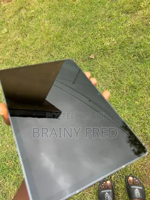 Samsung Galaxy Tab S10 FE 256 GB Gray
