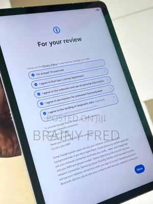 Samsung Galaxy Tab S10 FE 256 GB Gray