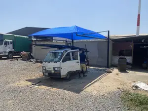 Formal Car Care Canopy