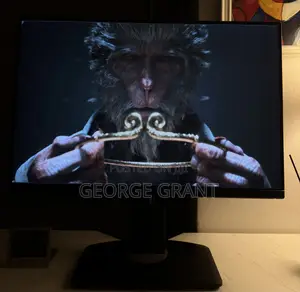 DELL Ultrasharp IPS Widescreen Gaming and Professional Monitor