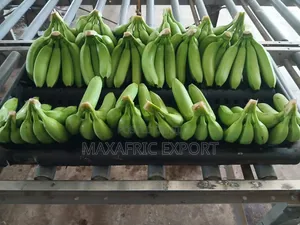 Fresh Banana