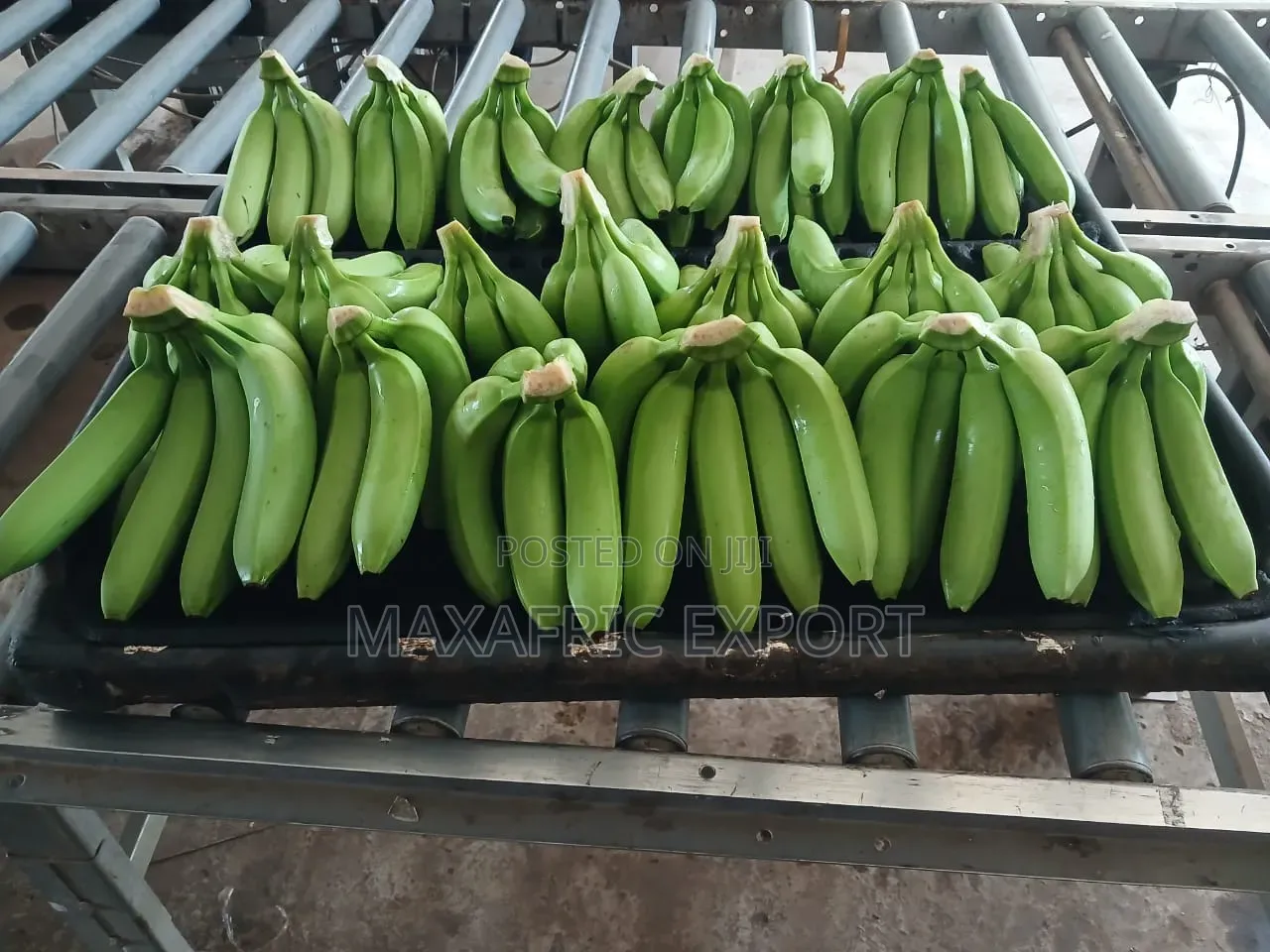 Fresh Banana