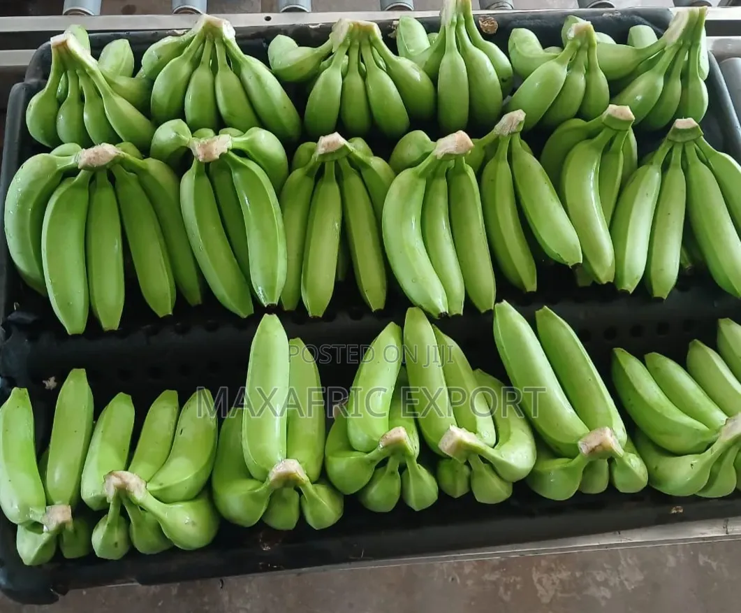 Fresh Banana