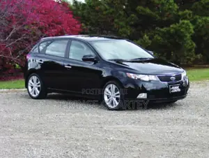 Kia Forte EX Hatchback 2012 Black
