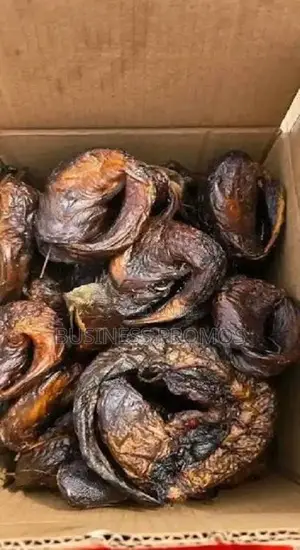 Catfish Available (Smoked or Fresh)