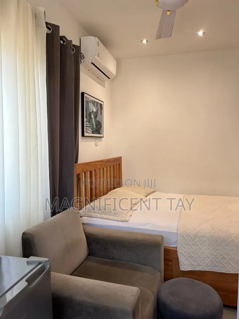 Furnished 1bdrm Apartment in Magnificent, Tseaddo for rent