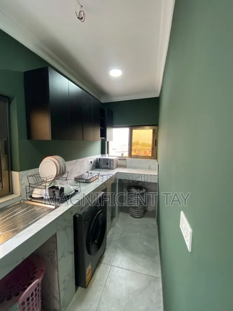 Furnished 1bdrm Apartment in Magnificent, Tseaddo for rent