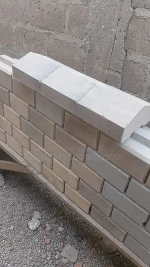 Interlocking Bricks, Clay Burnt Bricks and Brick Tiles