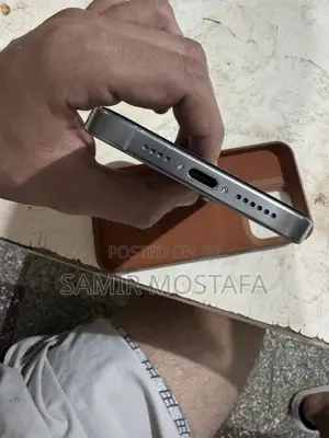 Apple iPhone 15 Pro Max 256 GB Gray