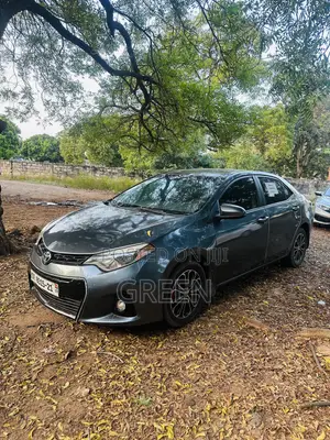 Car 2016 White