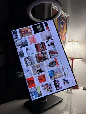 DELL Ultrasharp IPS Widescreen Gaming and Professional Monitor