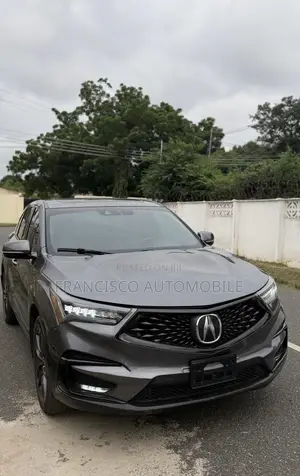 Acura RDX A-Spec Pkg SH-AWD 2020 Gray