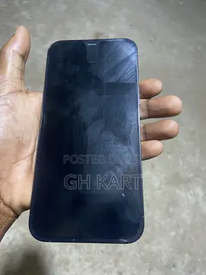 Apple iPhone 12 Pro Max 256 GB