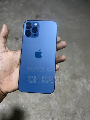 Apple iPhone 12 Pro Max 256 GB