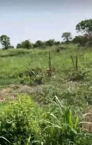 5 Acres Farmland for Sale