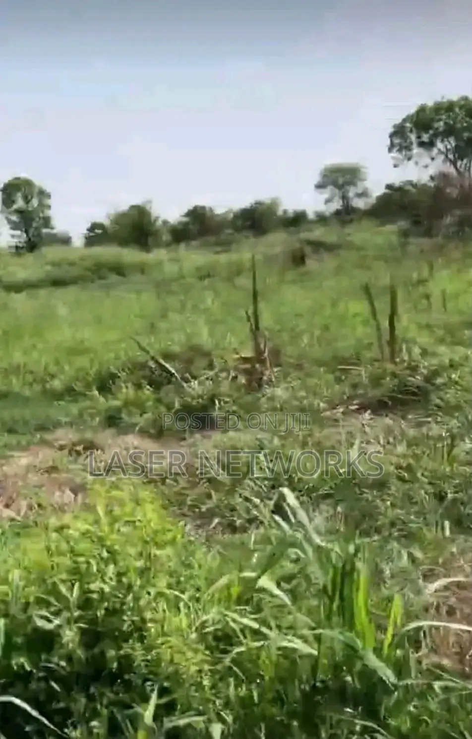 5 Acres Farmland for Sale